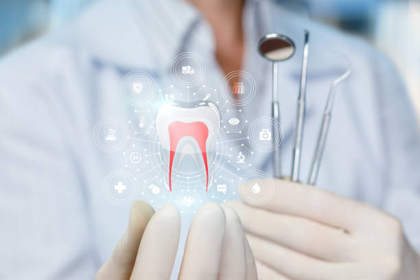 Best Dental Exams and Cleanings  in Shelton, WA